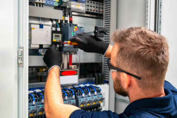 Best Local Electrician Companies  in Roanoke, AL