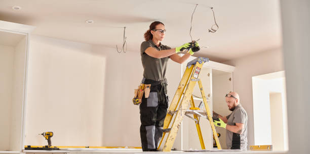 Best Electrical Upgrades for Homes  in Roanoke, AL