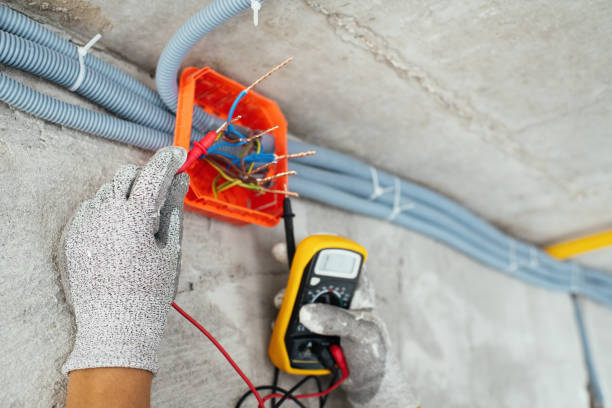Best Affordable Electrical Installation  in Roanoke, AL