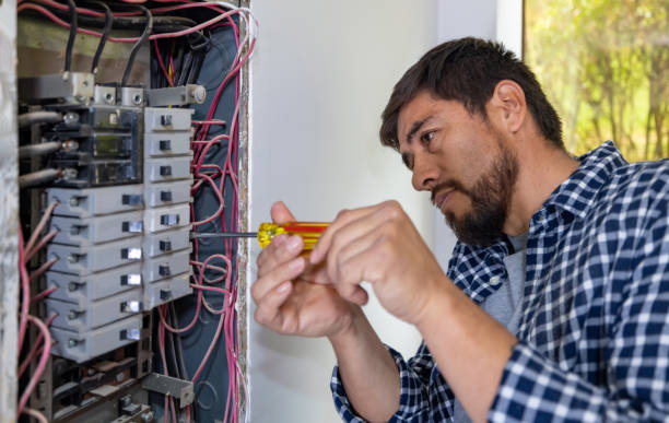 Best Generator Installation Services  in Roanoke, AL